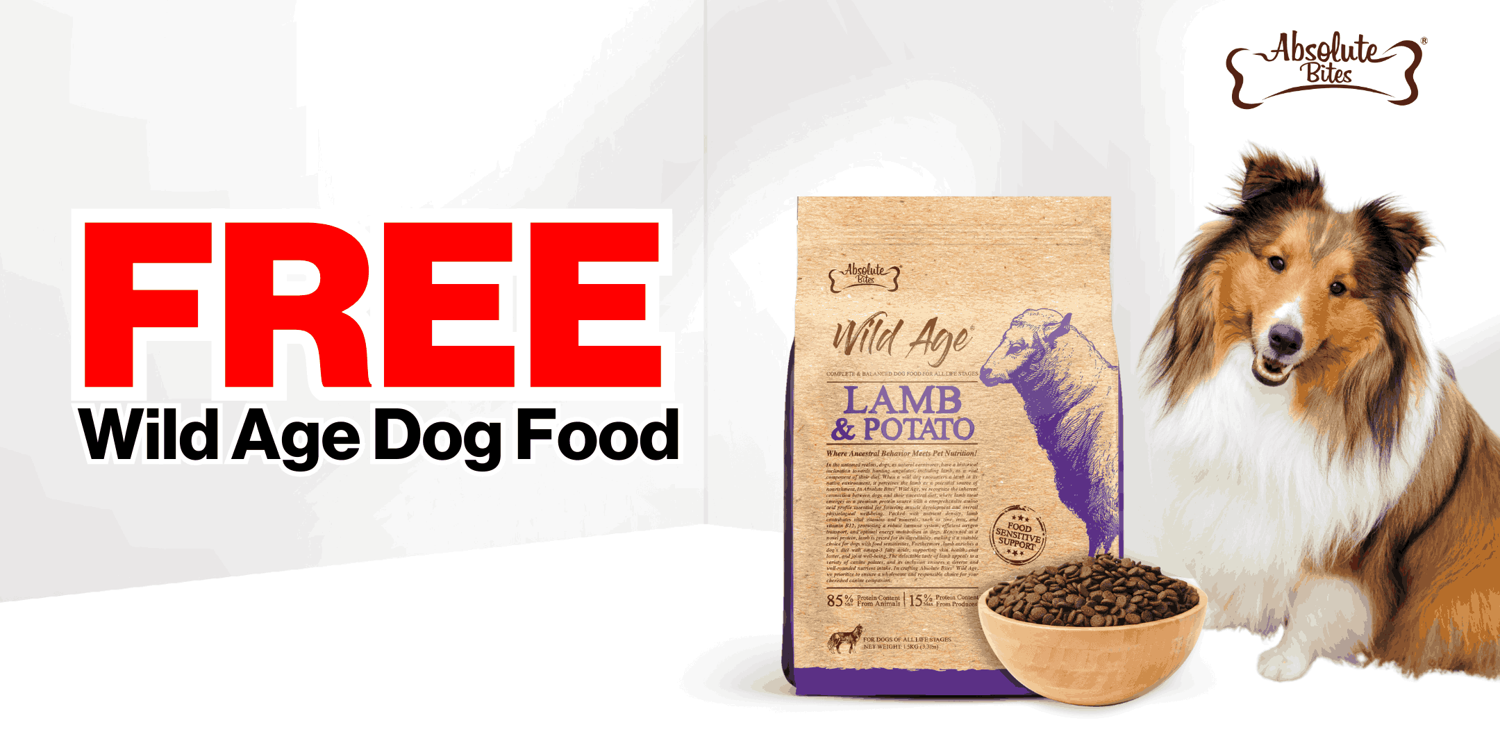 coupon-