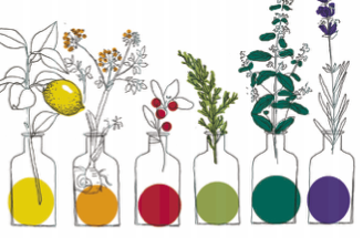 logo-energie-und-balance-fuer-koerper-und-geist